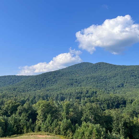 Posh Live Share Show New with Tags Wednesday - Picture 2 of 5